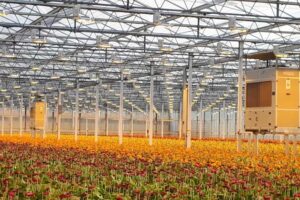 Controlar la humedad de un invernadero