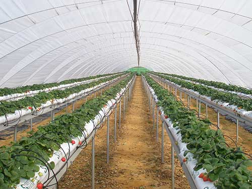 Sistemas Hidroponía Productos Inveurop