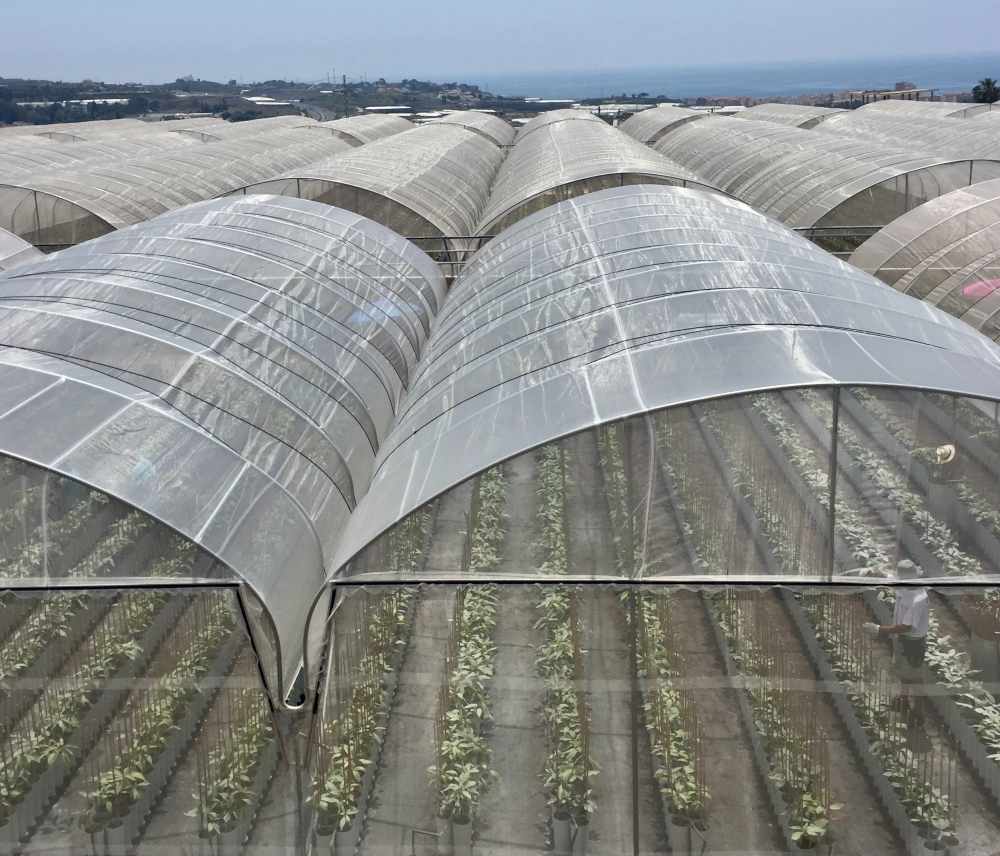 Macrotúnel maravilla