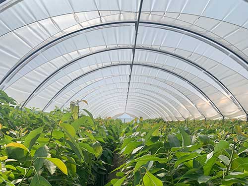 Macrotúnel Productos Inveurop