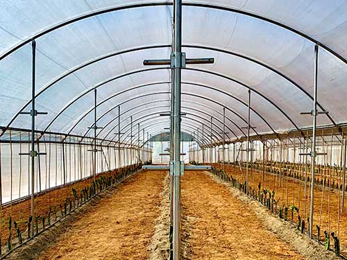 Tutores Productos Inveurop