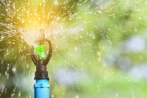 Sistemas de riego para invernaderos