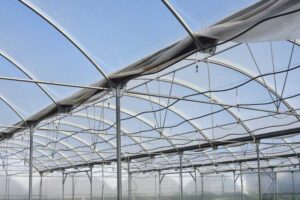 El riego en cultivos en invernadero