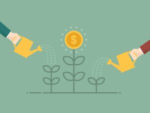 coste de construir un invernadero